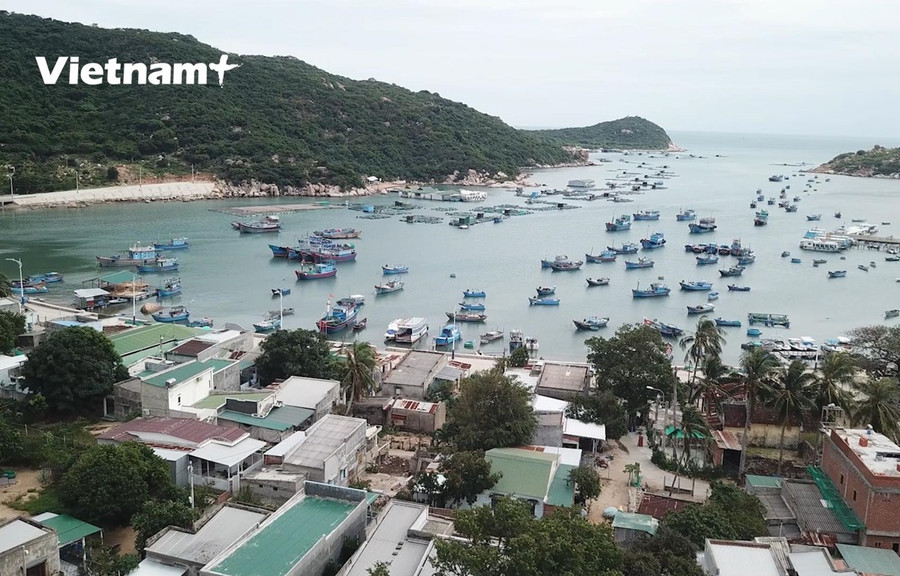 Một góc nhìn vịnh Vĩnh Hy (Ảnh: Lâm Phan/Vietnam+) Một góc nhìn vịnh Vĩnh Hy (Ảnh: Lâm Phan/Vietnam+)