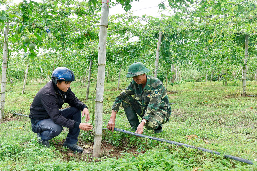 Anh Đào Văn Long ở thôn 2 xã Hà Tam huyện Đăk Pơ cho biết, trước đây người dân thường căn theo sự ước lượng, kinh nghiệm, có khi tưới đến 4-5 giờ, vừa lãng phí nhân công, vừa lãng phí nước. Từ khi áp dụng mô hình tưới tiết kiệm, gia đình kiểm soát được lượng nước tưới vừa đủ nhu cầu nước của cây, không bị lãng phí. 