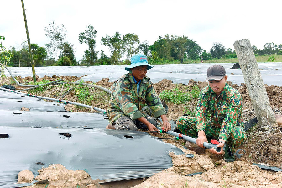 Anh Đinh Anhuyn, Làng Jro Ktu, xã Yang Bắc, huyện Đak Pơ cũng cho biết: “Trước đây, nhà mình chủ yếu là trồng mỳ; từ khi sử dụng hệ thống tưới nhỏ giọt thì đã chuyển khoảng 5 sào sang trồng dưa leo, khổ qua và ớt, cho thu nhập cao hơn so với trồng mỳ. Bình quân mỗi năm gia đình cho thu nhập hơn 60 triệu đồng.