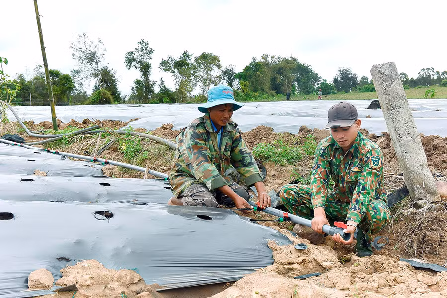Anh Đinh Anhuyn, Làng Jro Ktu, xã Yang Bắc, huyện Đak Pơ cũng cho biết: “Trước đây, nhà mình chủ yếu là trồng mỳ; từ khi sử dụng hệ thống tưới nhỏ giọt thì đã chuyển khoảng 5 sào sang trồng dưa leo, khổ qua và ớt, cho thu nhập cao hơn so với trồng mỳ. Bình quân mỗi năm gia đình cho thu nhập hơn 60 triệu đồng.