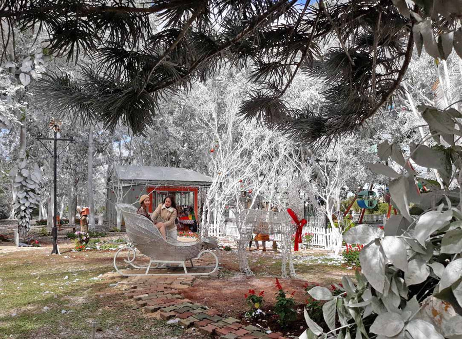 Một góc con đường mùa đông ở Công viên Đồng Xanh. Ảnh: Thất Sơn Một góc con đường mùa đông. Ảnh: Thất Sơn