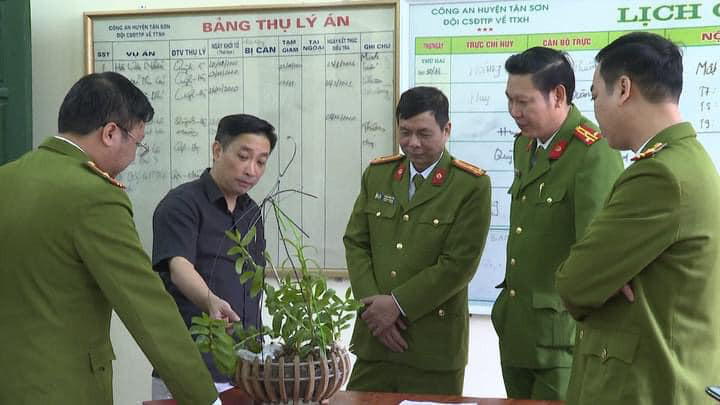 Một trong những giò lan mà các đối tượng "phù phép" thành lan đột biến để bán với giá cao được cơ quan điều tra thu giữ. Một trong những giò lan mà các đối tượng