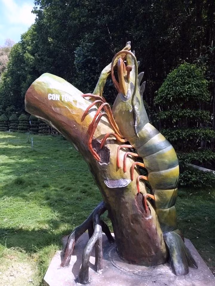 Du lịch Đất Mũi được kỳ vọng nhiều vào cuối năm, nhưng do dịch bệnh nên rơi vào cảnh khó. Ảnh: Nhật Hồ