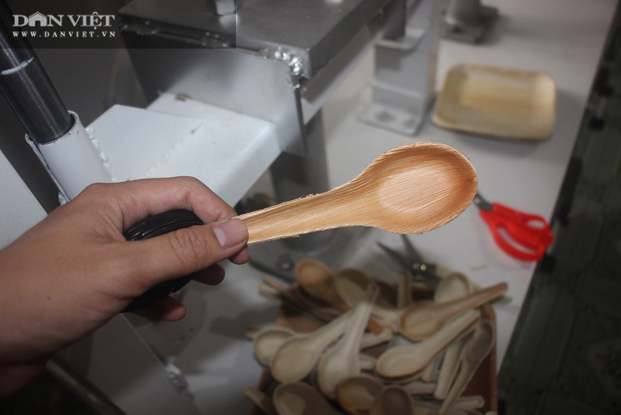 Để có nguồn nguyên liệu mo cau dồi dào, mở rộng sản xuất, anh Tịnh phối hợp với đoàn thanh niên các địa phương trồng cau ven đường nông thôn mới.