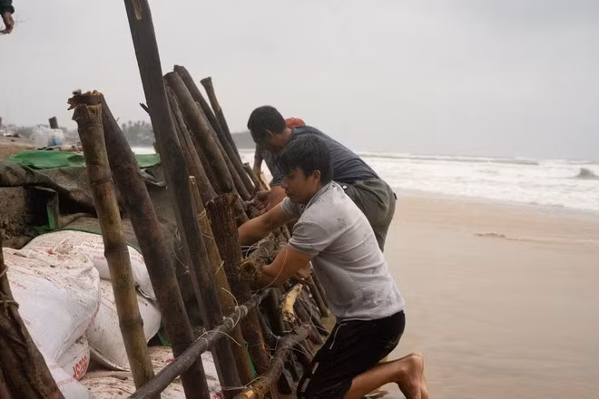 Người dân làm bờ kè tạm chống sạt lở ở thôn Phước Thiện, xã Bình Hải, H.Bình Sơn (Quảng Ngãi) - Ảnh: Thanh Quân