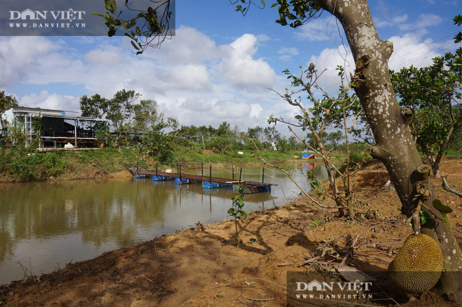 Dự kiến sang năm, vườn sinh thái Tám Râu sẽ đón khách đến tham quan, vui chơi, ăn uống dã ngoại.  Dự kiến sang năm, vườn sinh thái Tám Râu sẽ đón khách đến tham quan, vui chơi, ăn uống dã ngoại.