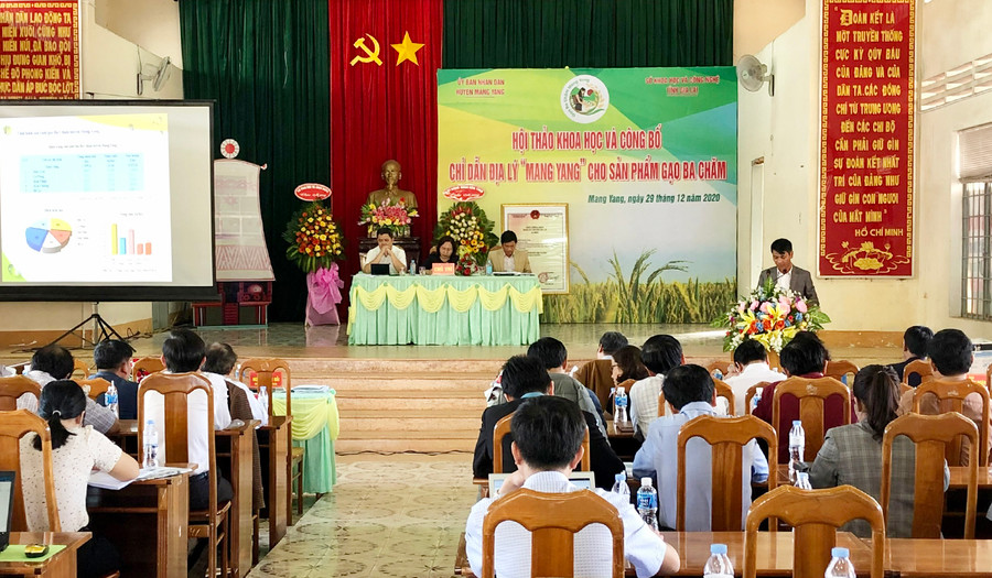 Hội thảo khoa học và công bố chỉ dẫn địa lý "Mang Yang" cho sản phẩm gạo Ba Chăm. Ảnh: Lê Nam Hội thảo khoa học và công bó chỉ dẫn địa lý Mang Yang cho sản phẩm gạo Ba Chăm. Ảnh: Lê Nam