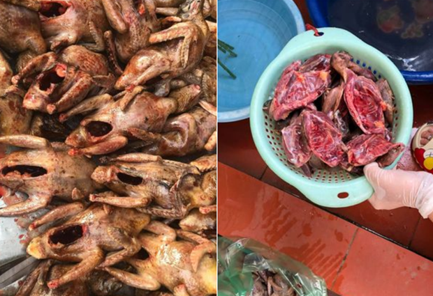 Hàng trăm cá thể chim hoang dã di cư ở Cát Bà bị dân buôn làm thịt, rao bán tràn lan trên mạng xã hội facebook.