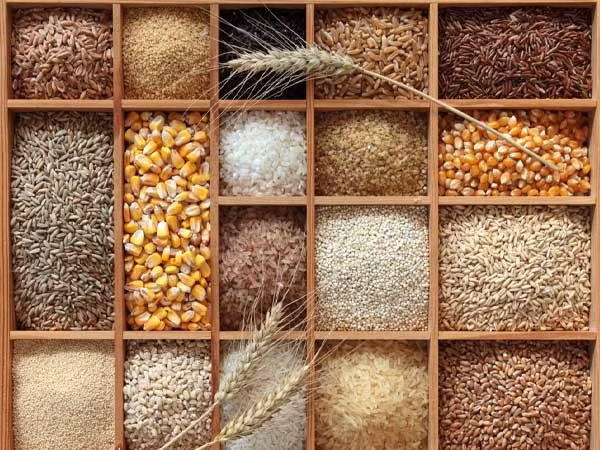 Một vài thực phẩm giúp bổ sung tinh bột trong khẩu phần ăn eat-clean. Ảnh: BoldSky