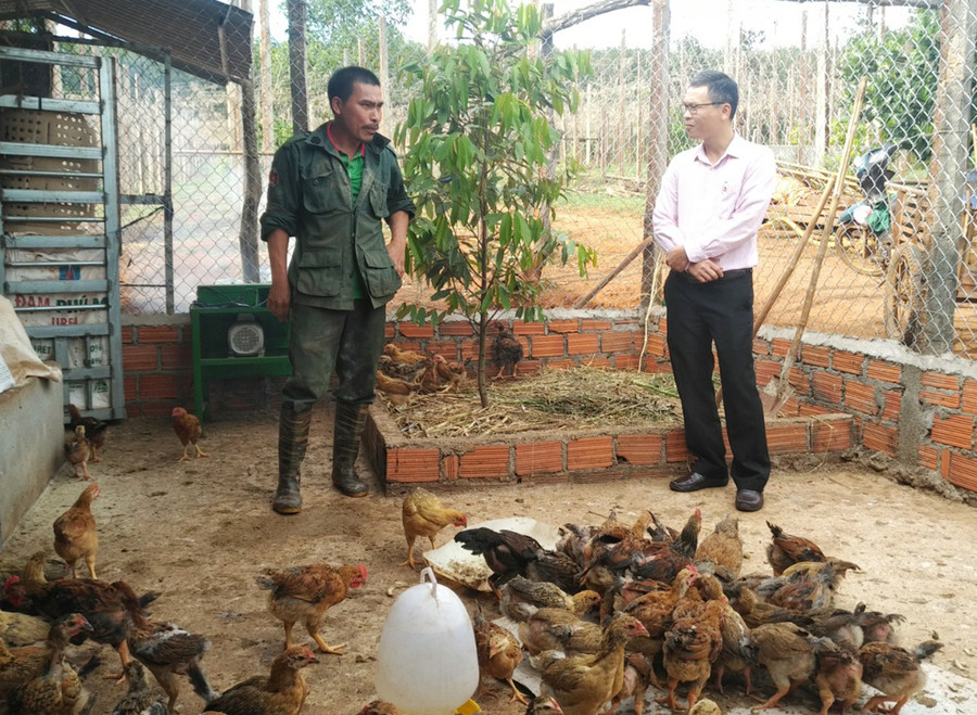 Nhờ nguồn vốn tín dụng chinh sách, anh Lê Đức Phụng đang đầu tư nuôi chăn nuôi hươu, gà vịt để tăng thu nhập cho gia đình. Ảnh: Sơn Ca