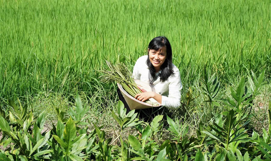 Món quê dân dã (ảnh minh họa).
