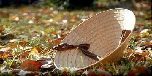 Ảnh minh họa: Internet