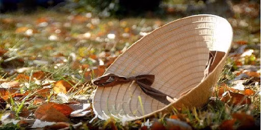 Ảnh minh họa: Internet