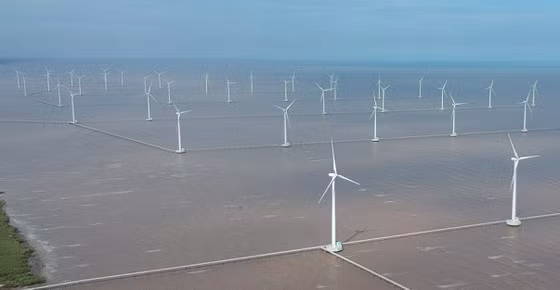  Điện gió tại tỉnh Bạc Liêu. Ảnh: CAO THĂNG