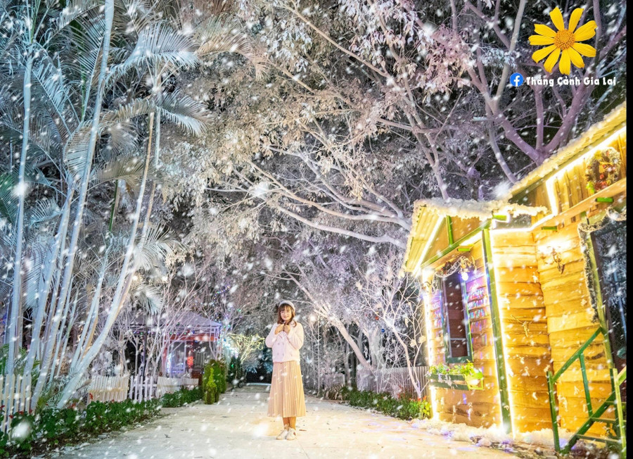 Con đường mùa đông lung linh dưới ánh đèn tại Công viên Đồng Xanh. Ảnh: Internet