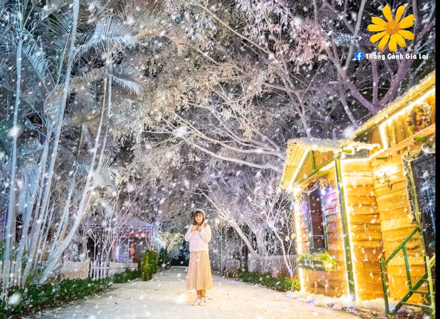 Con đường mùa đông lung linh dưới ánh đèn tại Công viên Đồng Xanh. Ảnh: Internet