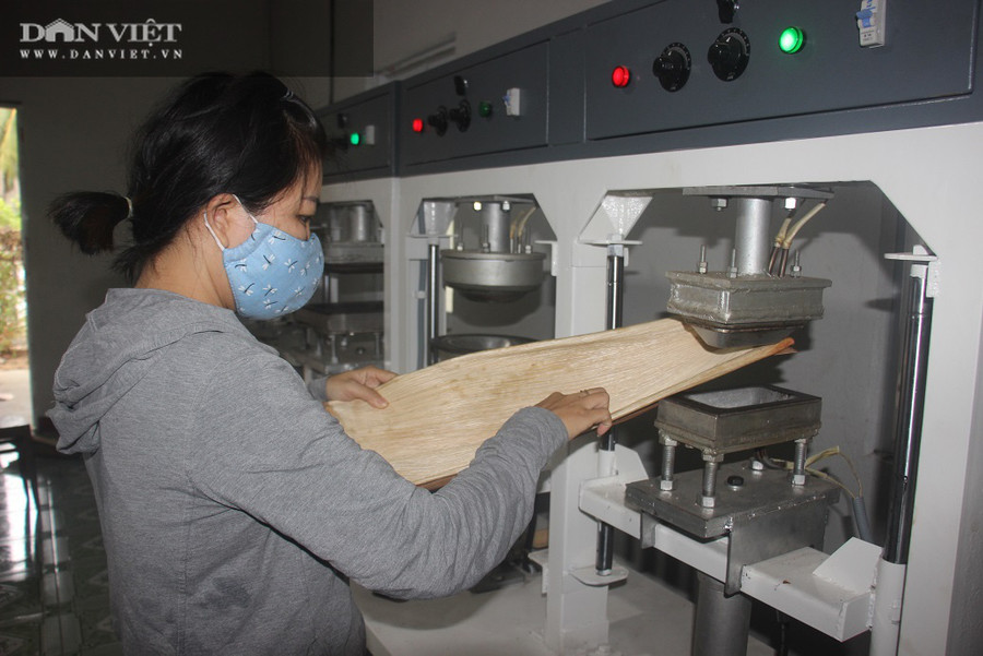 Những sản phẩm đồ gia dụng làm từ mo cau này bước đầu chào bán thành công ở một số nhà hàng, người mua phản hồi tỏ ra khá hài lòng. Sản phẩm có thể dùng nhiều lần nếu đựng thức ăn khô, thậm chí đựng cả thức ăn nước nhưng sau đó phải rửa sạch, phơi khô. Hiện, các sản phẩm đồ gia dụng làm từ mo cau của Tịnh rất đa dạng với 10 mẫu gồm: khay, dĩa, muỗng…với các kích thước khác nhau. Tịnh cũng đang vận hành làm tô từ mo cau, trong tương lai, anh dự định sản xuất thêm nhiều sản phẩm đồ gia dụng từ mo cau nữa để đáp ứng nhu cầu khách hàng.