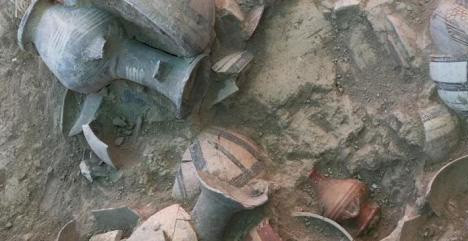 Ảnh: ĐẠI HỌC GOTHENBURG