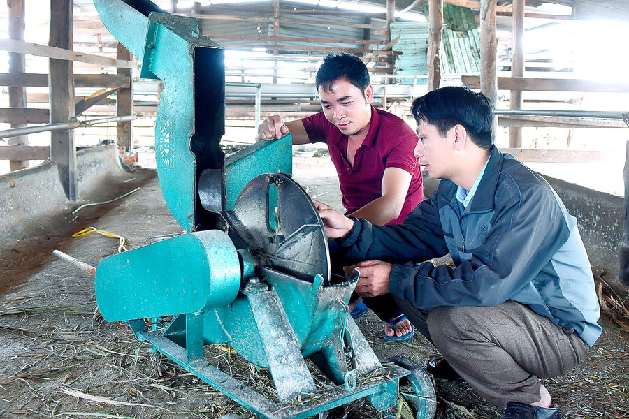 Anh Tâm chia sẻ: “Tôi dùng máy xay cỏ chế biến thức ăn cho bò để giảm sức lao động thủ công và nâng cao hiệu quả đầu tư .