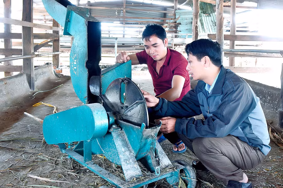 Anh Tâm chia sẻ: “Tôi dùng máy xay cỏ chế biến thức ăn cho bò để giảm sức lao động thủ công và nâng cao hiệu quả đầu tư .