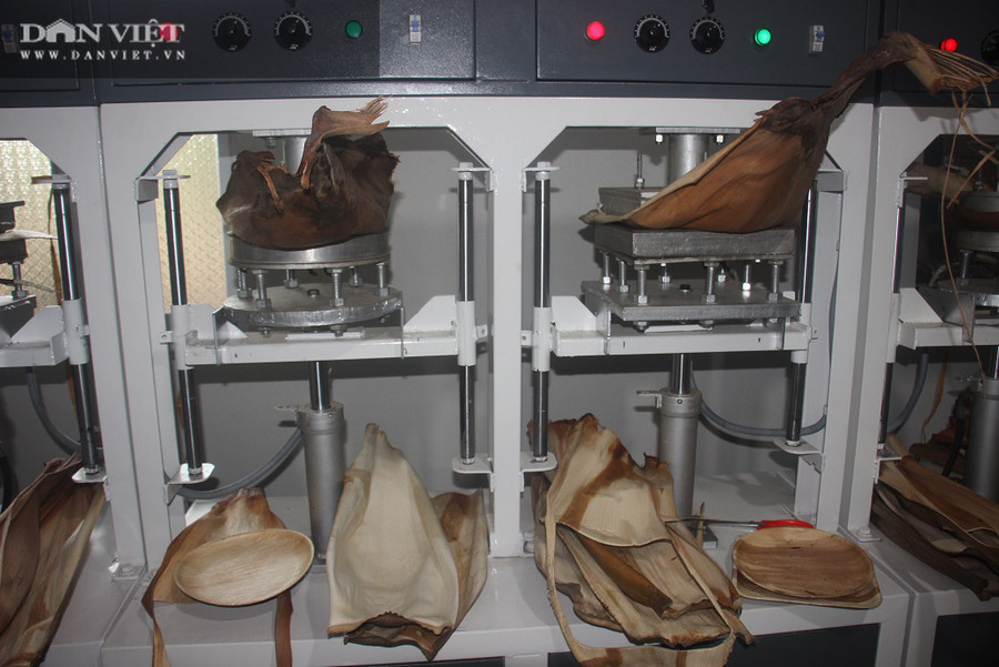 Các sản phẩm được làm từ mo cau như khay, chén, đĩa, muỗng…do cơ sở sản xuất của anh Tịnh đã từng chính thức có mặt ở các thị trường ở TP Quy Nhơn, Đà Nẵng, Hồ Chí Minh...