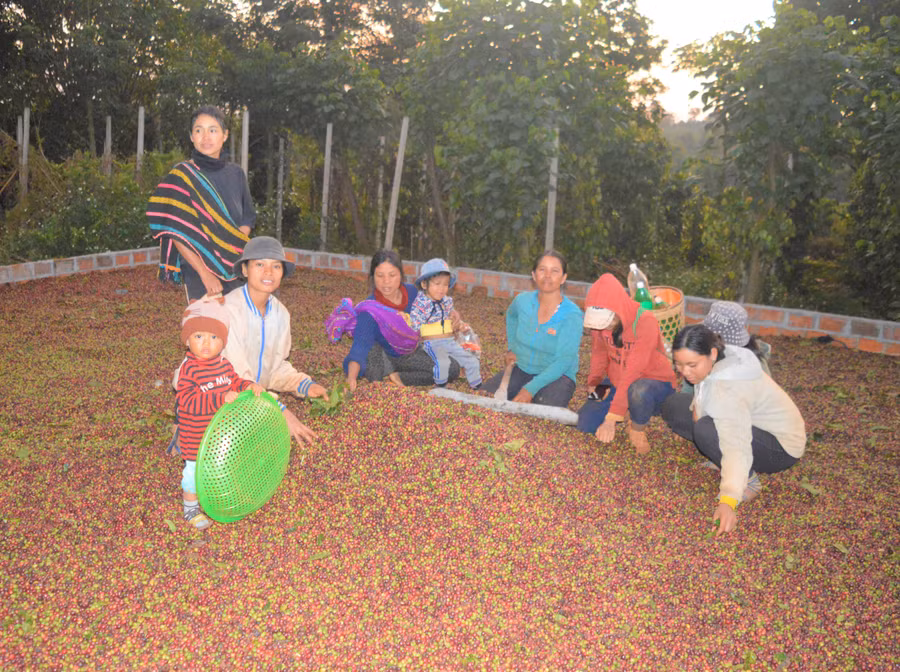 Bình đẳng giới trong tạo việc làm cho lao động nữ dân tộc thiểu số. Ảnh: Đinh Yến