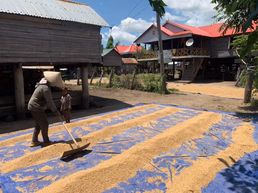 Người dân thôn Bi Gia hăng say sản xuất. Ảnh: Vũ Chi