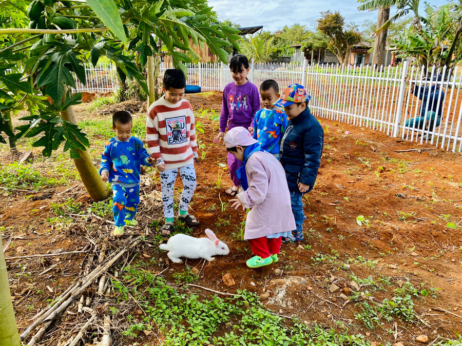Các em nhỏ vui chơi cùng thỏ trong nông trại. Ảnh: Nguyễn Giang Vui chơi cùng thỏ trong nông trại. Ảnh: Nguyễn Giang