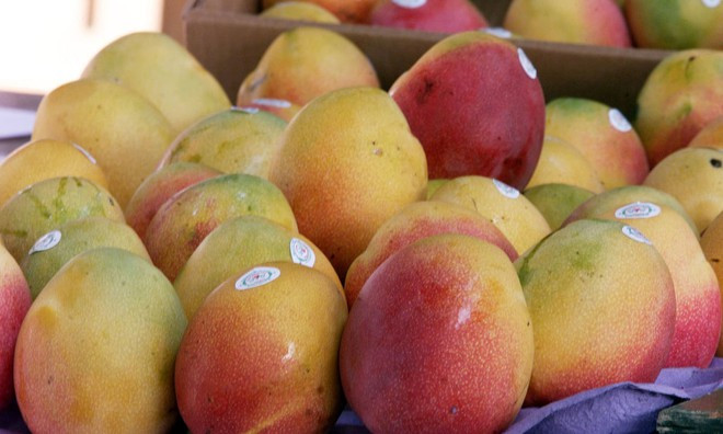Quả xoài còn có thể làm chậm quá trình lão hóa tự nhiên ẢNH: REUTERS