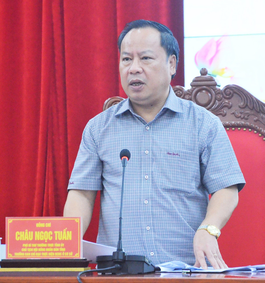 Phó Bí thư Thường trực Tỉnh ủy, Chủ tịch HĐND tỉnh Châu Ngọc Tuấn phát biểu tại hội nghị. Ảnh: Phương Linh