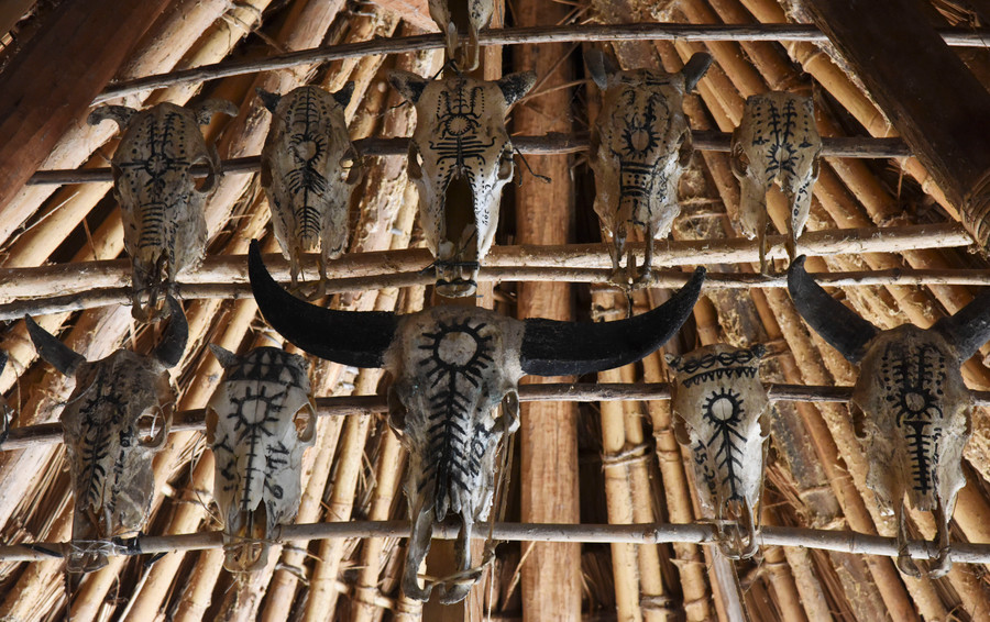 Mô típ hình mặt trời, xương cá, ngọn rau dớn trang trí trên sọ thú của các dân tộc vùng Trường Sơn-Tây Nguyên. Ảnh: Tấn Vịnh