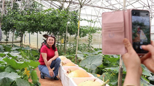 Bộ tiêu chí công nhận điểm du lịch canh nông buộc các đơn vị, cá nhân phải đạt 100% tiêu chí bắt buộc (28 tiêu chí) và tối thiểu 50% tiêu chí khuyến khích.