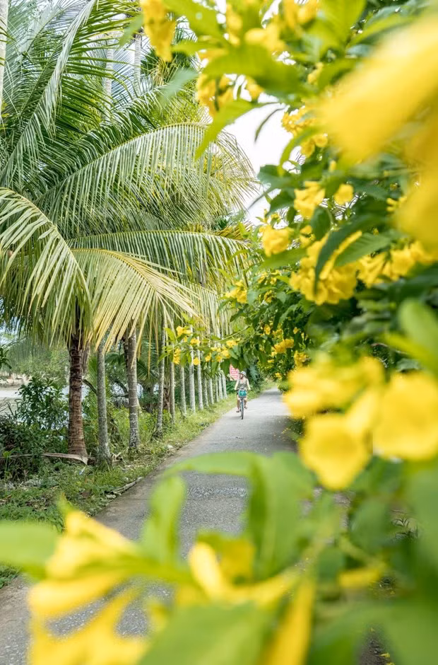 (Ảnh: CTV/Vietnnam+)