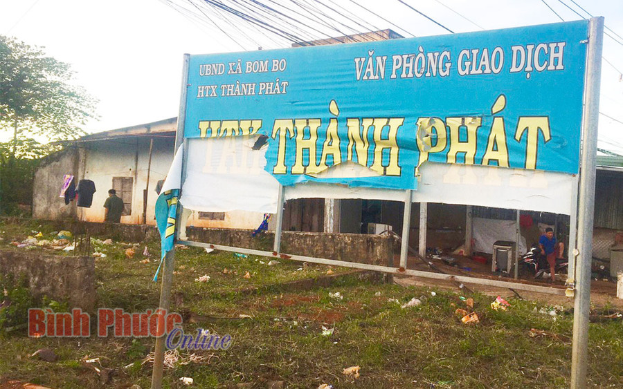 Bảng hiệu Hợp tác xã nông nghiệp - thương mại - dịch vụ Thành Phát (đơn vị liên kết cung cấp cây giống và bao tiêu sản phẩm từ cây sachi) đã bị rách tả tơi Bảng hiệu Hợp tác xã nông nghiệp - thương mại - dịch vụ Thành Phát (đơn vị liên kết cung cấp cây giống và bao tiêu sản phẩm từ cây sachi) đã bị rách tả tơi