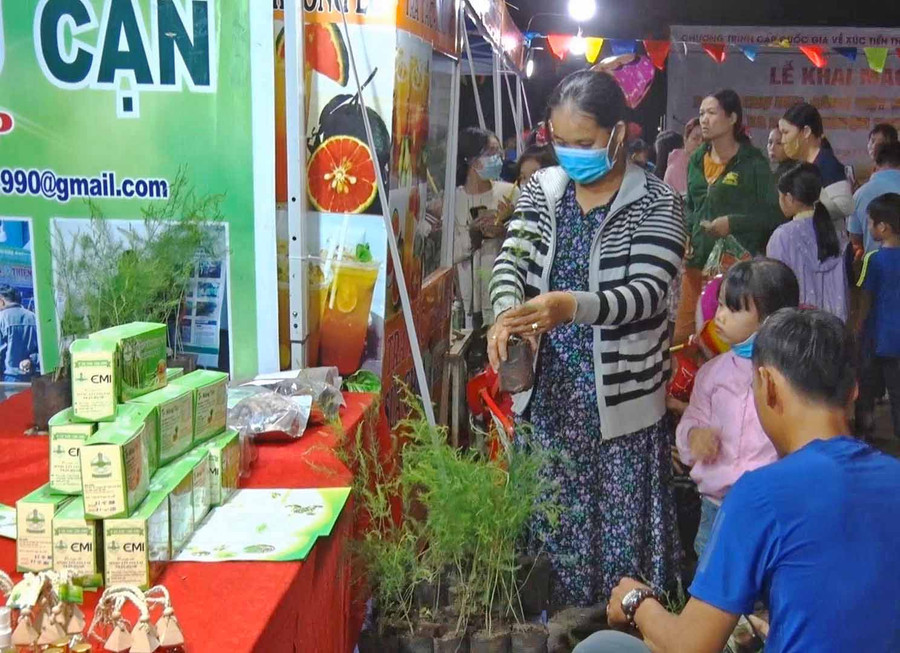 Nhiều giống cây trồng được trưng bày tại phiên chợ