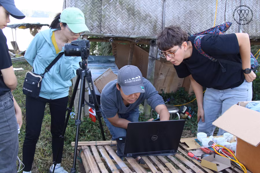  Các chuyên gia thảo luận về quy trình thu thập mẫu. Nguồn ảnh: WCS Việt Nam