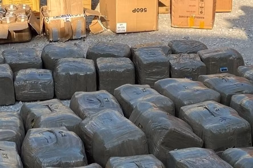 Tang vật được lực lượng chức năng Hải Phòng thu giữ. Ảnh CATPHP