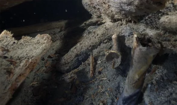 Các phần hài cốt con người rải rác trên boong 