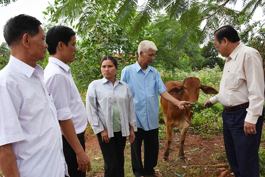  Ông Bùi Thanh Hoàng (bìa phải)-Chủ tịch Hội Nạn nhân chất độc da cam/Dioxin tỉnh Gia Lai trao bò giống sinh sản cho gia đình bà Phạm Thị Hoa (thôn Nhân Hòa, xã Ia Drăng). Ảnh: Hà Phương