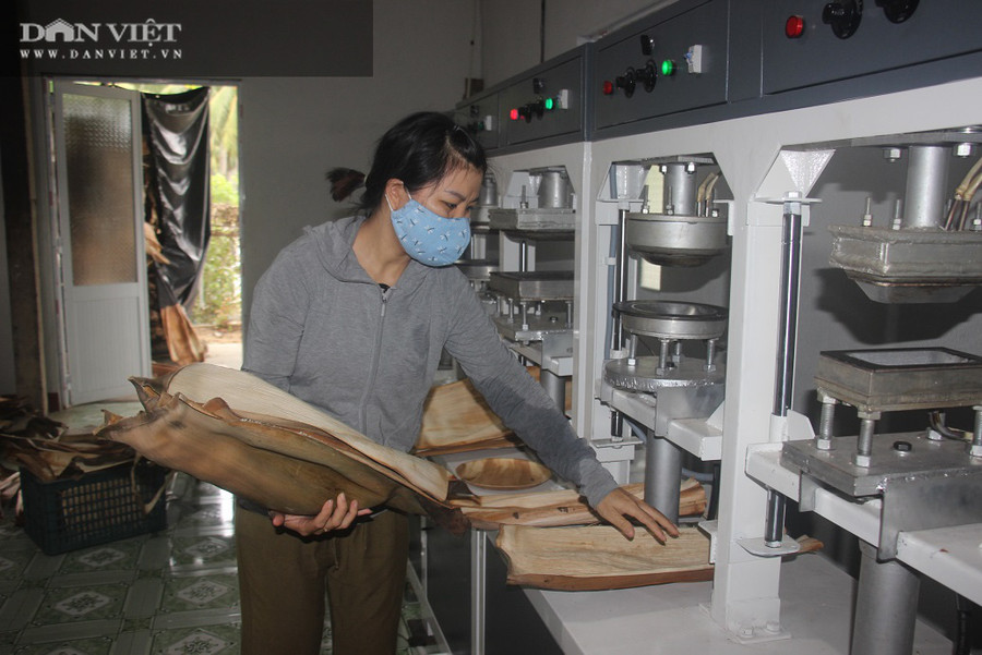 Nguồn nguyên liệu mo cau khá đa dạng, dồi dào ở các làng quê Việtt Nam. Từ xưa tới nay, ngoài việc dùng mo cau làm quạt (nhất là ở miền Bắc) trẻ em dùng chơi trò kéo mo cau thì hầu như mo cau chỉ là thứ vứt vạ vứt vật ở xó vườn. Vì Vậy, mo cau là 1 phế phẩm nông nghiệp mà người nông dân thường đốt bỏ chứ không có sử dụng. Lúc đó, Tịnh bắt đầu nuôi ý tưởng biến mo cau thành những vật dụng hữu ích trong sinh hoạt hàng ngày.