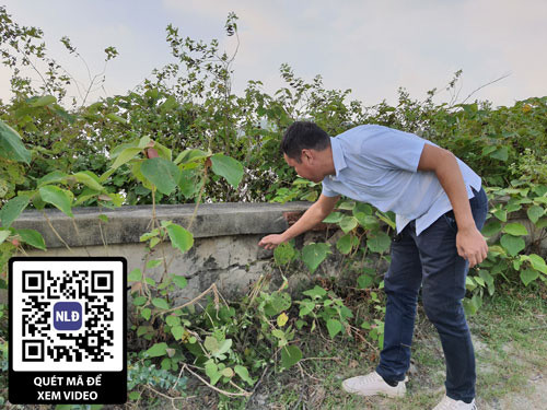 Phần thân đập hồ Khe Thị (tỉnh Nghệ An) xuống cấp nghiêm trọng. Ảnh: ĐỨC NGỌC