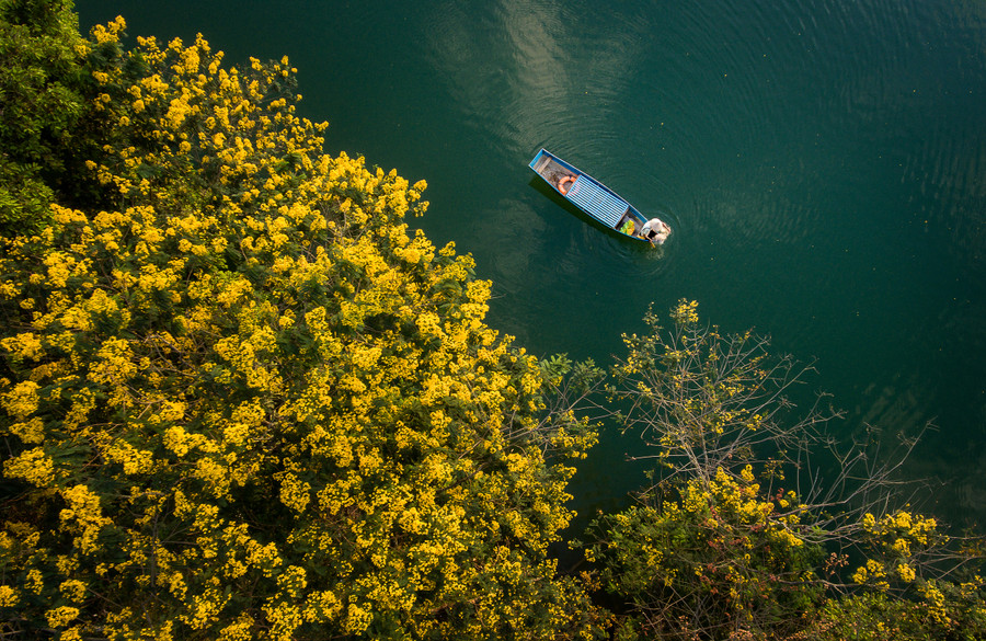 Ảnh minh họa: Phan Nguyên