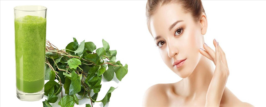 Lá rau diếp cá giúp trị mụn nội tiết hiệu quả. Đồ họa: Hồng Nhật