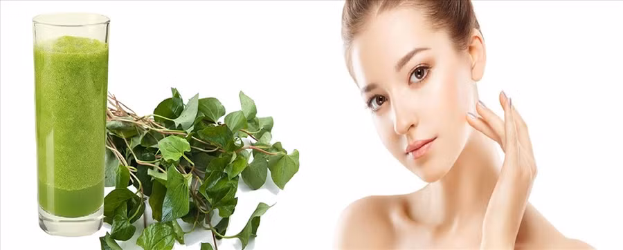 Lá rau diếp cá giúp trị mụn nội tiết hiệu quả. Đồ họa: Hồng Nhật