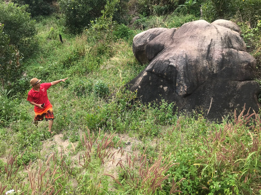 Đầu con voi Dăm La hóa thành đá ở núi Chư Gôh. Ảnh: R' Ô Hok