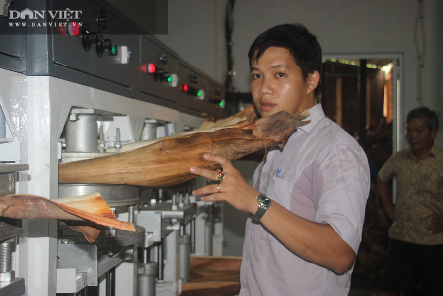 “Tôi tiếp cận sản phẩm đồ gia dụng làm từ mo cau từ giữa năm 2019, đến khi sản xuất ổn định là tháng 2/2020. Vì máy móc phải nhập trực tiếp từ Ấn Độ, khi nhập máy móc về, các công đoạn vận hành máy móc cũng không được hướng dẫn nên tôi phải tự mày mò”, anh Tịnh chia sẻ.