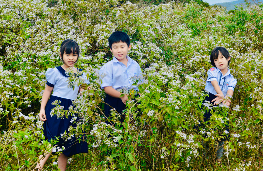 Ảnh: Nguyễn Thị Diễm