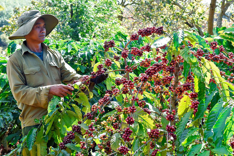 1.Ông Kpă Biêk, làng Hle Ngol, xã Ia Tôr huyện Chư Prông được bà con tin yêu bầu làm bí thư chi bộ. 