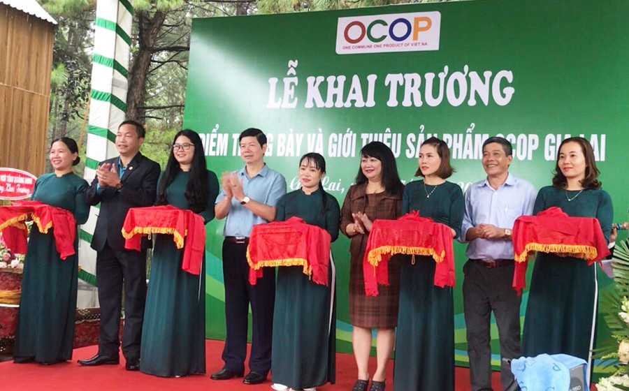 Hợp tác xã Nông nghiệp Liên hiệp Gia Lai (GAUC) khai trương điểm trưng bày và bán sản phẩm OCOP tại khu du lịch Biển Hồ (TP. Pleiku). Ảnh: Diệp Tấn