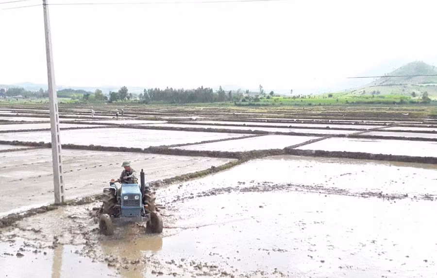 Người dân xã Tơ Tung (huyện Kbang) làm đất chuẩn bị xuống giống vụ Đông Xuân 2020-2021. Ảnh: Minh Nguyễn